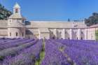 France, Provence, Gordes. Abbey of Our Lady of Senanque built in the 12th century Art Print